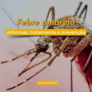 Os sintomas, tratamento e forma de Prevenir a Febre aAmarela